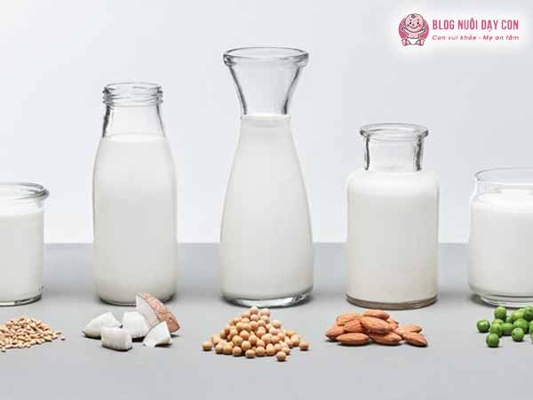Sữa hạt cung cấp nguồn canxi lớn cho trẻ